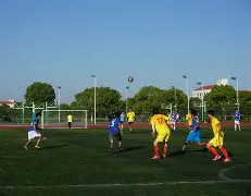 包含Scout在法国队比赛中出色防守，比分优势明显引发热议！的词条